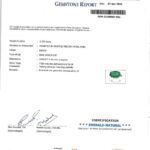 Emerald_Ring___Tasneem_BS__-1_page-0001