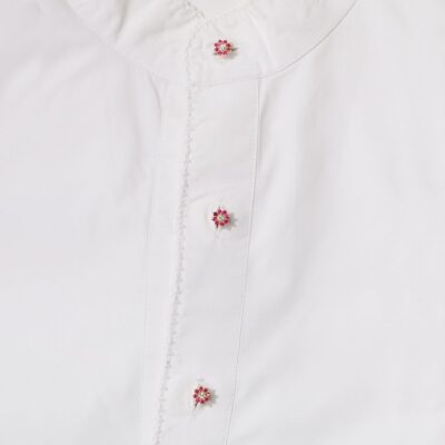 Shifan Ruby Buttons