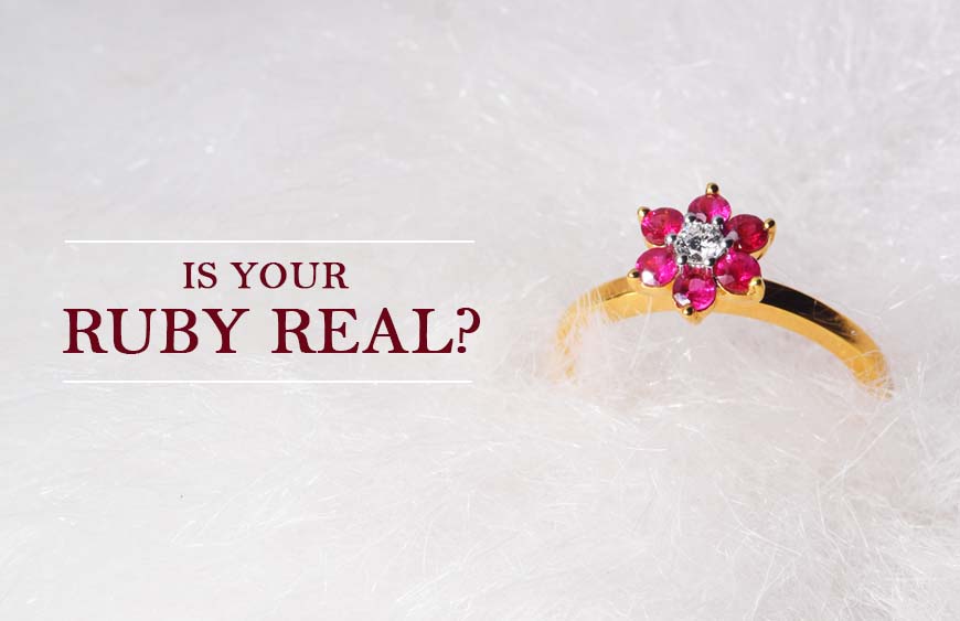 870 X 563 Blog banner.jpg (2)